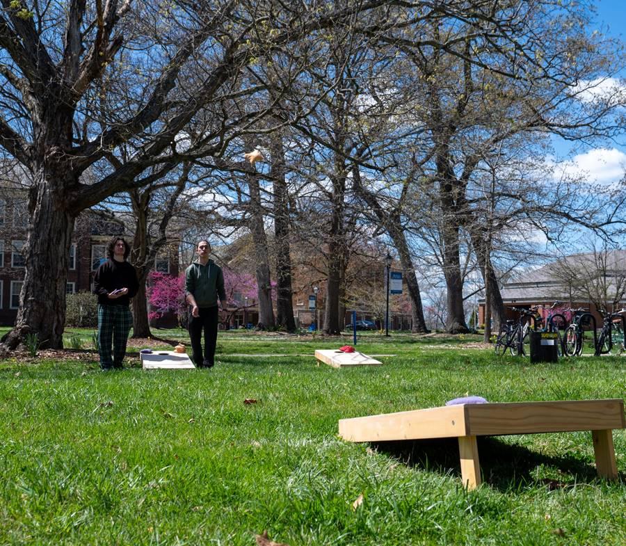 lawn-games